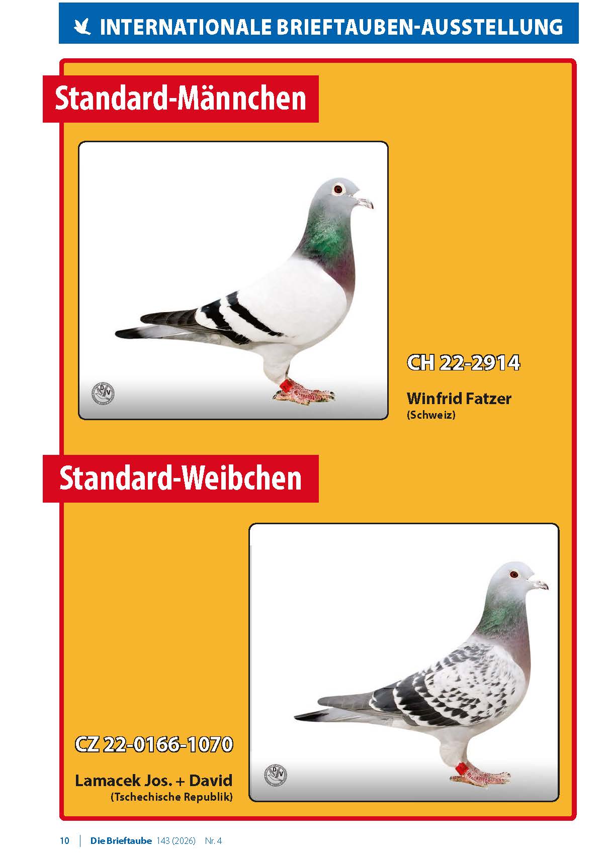 0426 Brieftaube Messe Seite 10