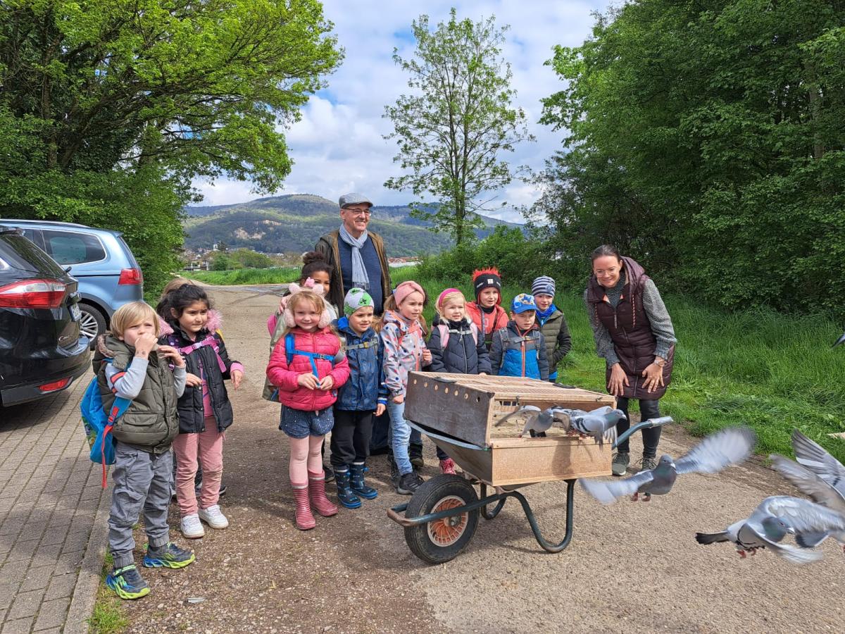 Taubenstart-mit-Vorschul-gruppe-000-Foto-Rudi-Proll-